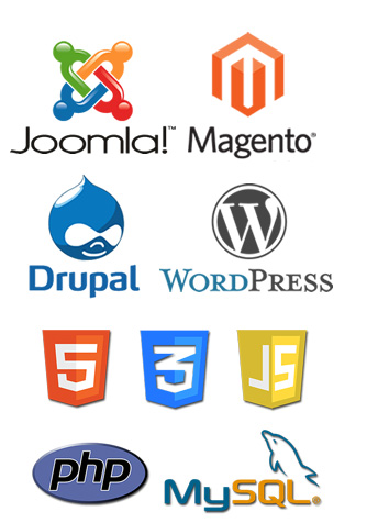 website development company in bhopal